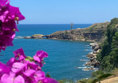 Casa Vacanze Appartamento Jerry House